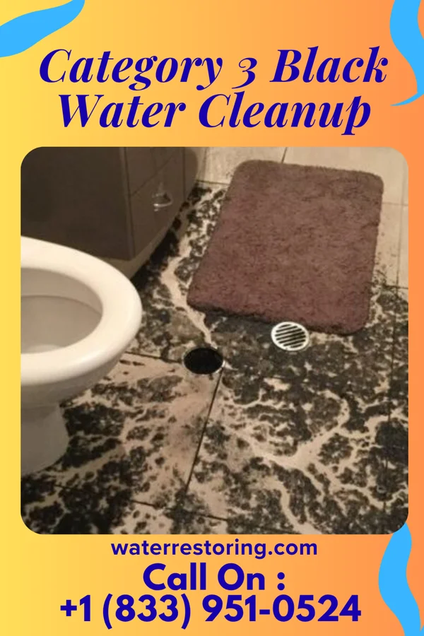 Category 3 Black Water Cleanup in Middle Valley, TN