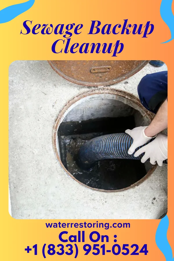 Sewage Backup Cleanup in Middle Valley, TN